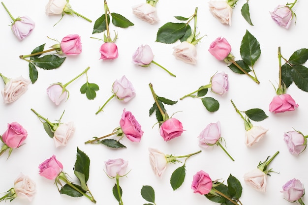 Composição de dia dos namorados de flores. moldura feita de rosa cor de rosa em fundo cinza. vista plana leiga, superior, cópia espaço.