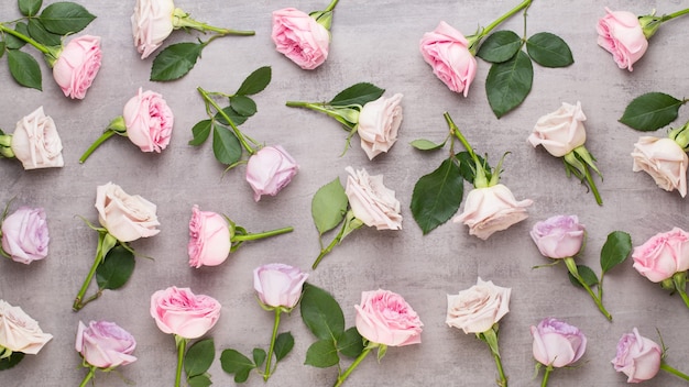 Composição de dia dos namorados de flores. Moldura feita de rosa rosa em superfície cinza. Camada plana, vista superior, espaço de cópia.