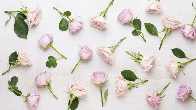 Composição de dia dos namorados de flores. rosa rosa em fundo cinza. camada plana, vista superior.