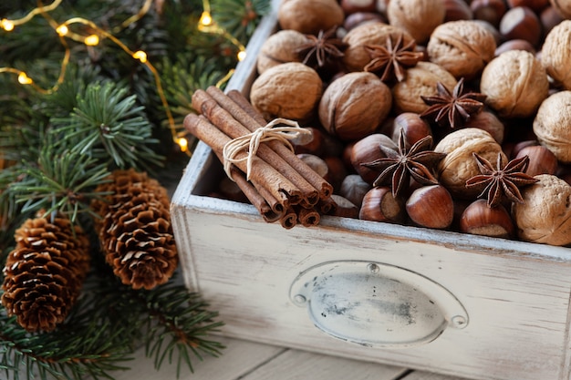 Composição de férias de Natal com nozes, avelãs, paus de canela