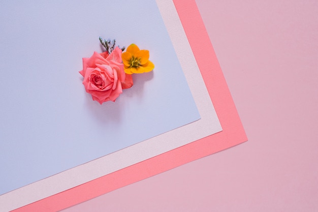Foto composição de flores coloridas plana leigos