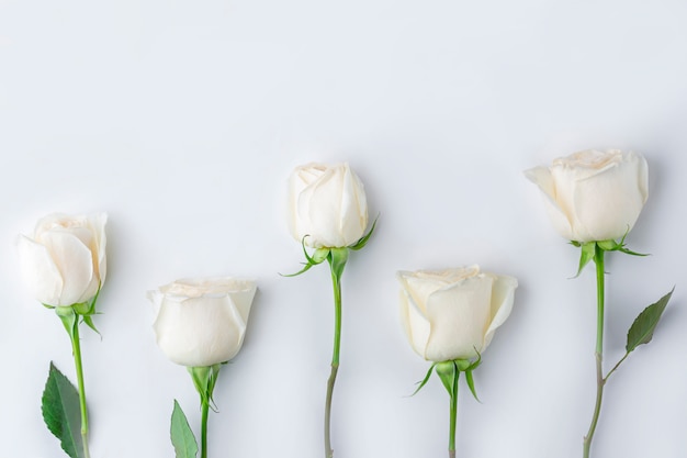 Composição de flores da primavera. padrão criativo de pastel rosa flor rosa. fundo romântico. dia dos namorados, mulheres, dia das mães ou conceito de casamento.