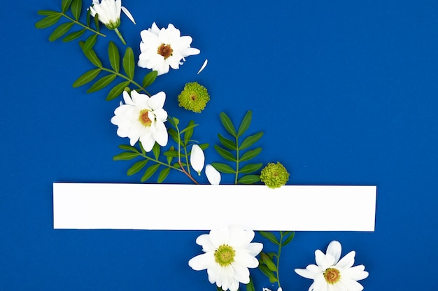 Composição de flores da primavera. Zombe de cartão de papel com espaço de cópia. Quadro feito de flores brancas em um espaço azul.