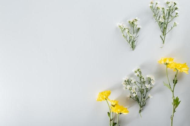 Composição de flores de crisântemo e cortador Padrão e moldura feita de várias flores amarelas ou laranja e folhas verdes sobre fundo branco Vista superior plana leiga espaço de cópia primavera verão conceito