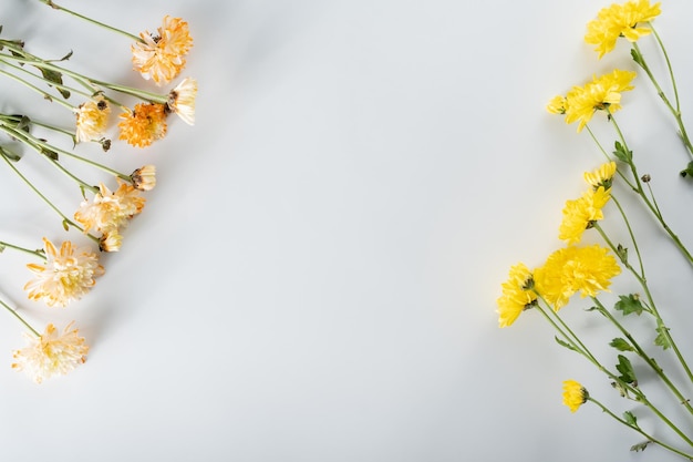 Foto composição de flores de crisântemo e cortador padrão e moldura feita de várias flores amarelas ou laranja e folhas verdes sobre fundo branco vista superior plana leiga espaço de cópia primavera verão conceito