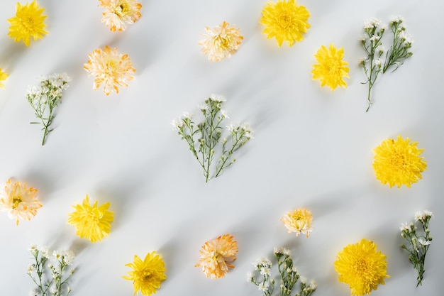 Composição de flores de crisântemo e cortador padrão e moldura feita de várias flores amarelas ou laranja e folhas verdes sobre fundo branco vista superior plana leiga espaço de cópia primavera verão conceito