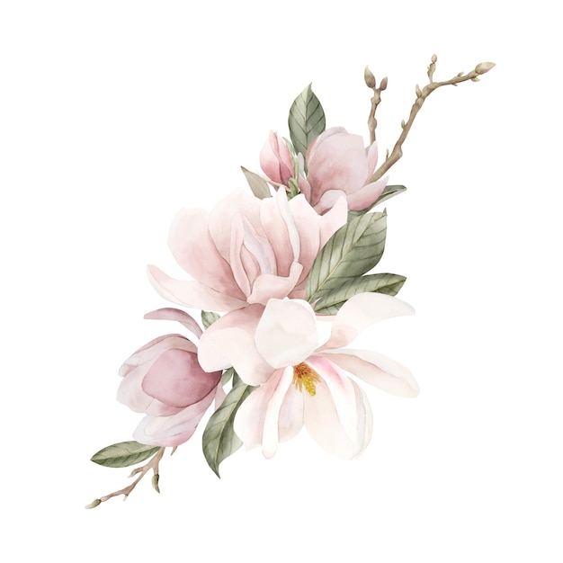 Composição de flores de magnólia rosa claro, botões, galhos e folhas Ilustração de aquarela floral