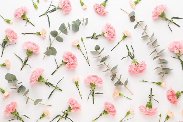 Composição de flores e eucaaliptus. Padrão feito de várias flores coloridas em fundo branco. A vida ainda é plana.