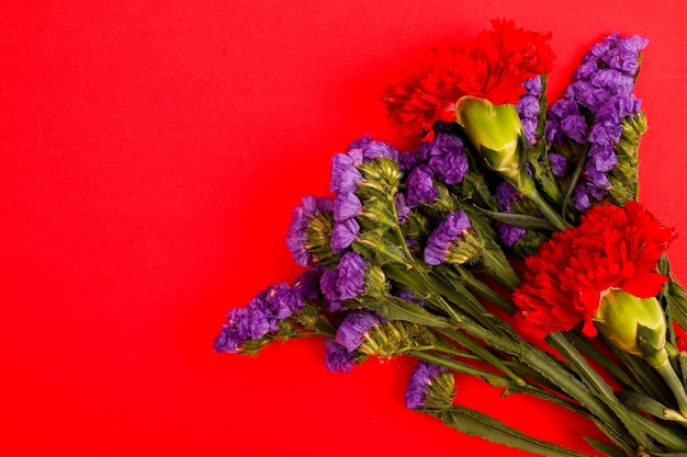 Composição de flores e lindas flores desabrochando em fundo de papel