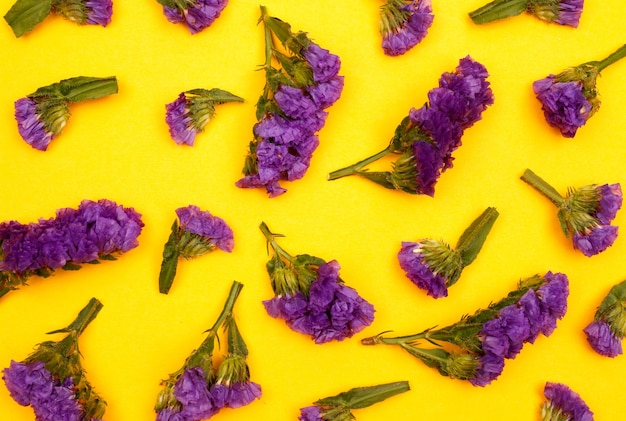 Composição de flores e lindas flores desabrochando em fundo de papel