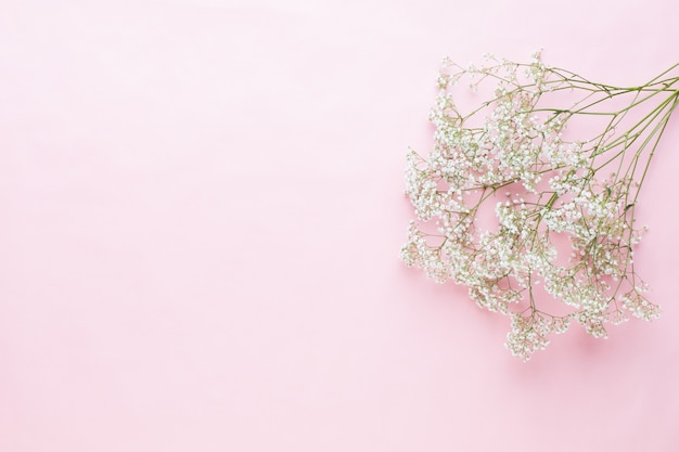 Composição de flores. Flores de gipsófila em fundo rosa pastel. Camada plana, vista superior, espaço de cópia