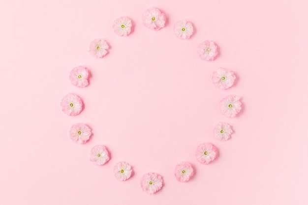Composição de flores. moldura feita de flores de cerejeira rosa em fundo rosa pastel. postura plana. vista do topo. casamento, dia dos namorados, conceito do dia das mulheres