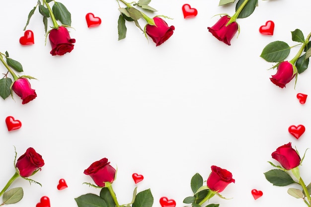 Composição de flores. Moldura feita de rosa vermelha em fundo branco. Camada plana, vista superior, espaço de cópia.