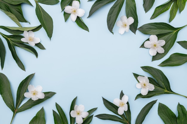 Composição de flores Quadro de flores e folhas verdes em um fundo azul,