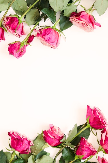 Composição de flores Quadro feito de flores rosas em fundo branco