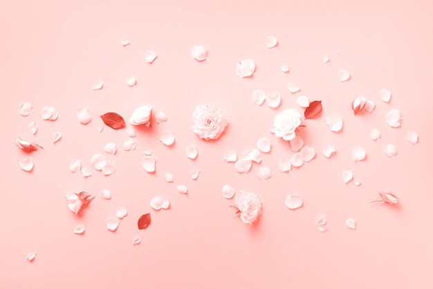 Composição de flores rosas brancas e pétalas florais em fundo de cor coral da moda vista superior plana layout criativo banner de primavera ou verão com espaço de cópia