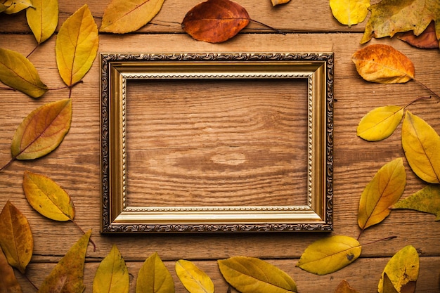Foto composição de folhas de outono com moldura. copie o espaço.