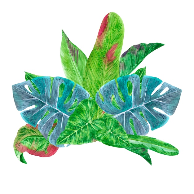 Composição de folhas tropicais verdes de aquarela desenhadas à mão isolada em fundo branco Pode ser usada para design de banner de etiqueta de cartão postal
