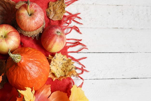 Composição de halloween outono com folhas, maçãs e abóbora em fundo branco, copie o espaço