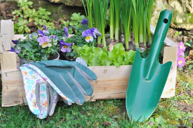 Composição de jardinagem de primavera