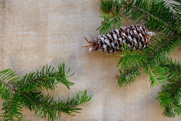 Composição de natal com agulhas de pinheiro e cone