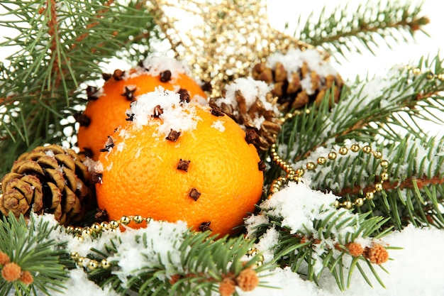 Composição de Natal com laranjas e abeto, isolado no branco.