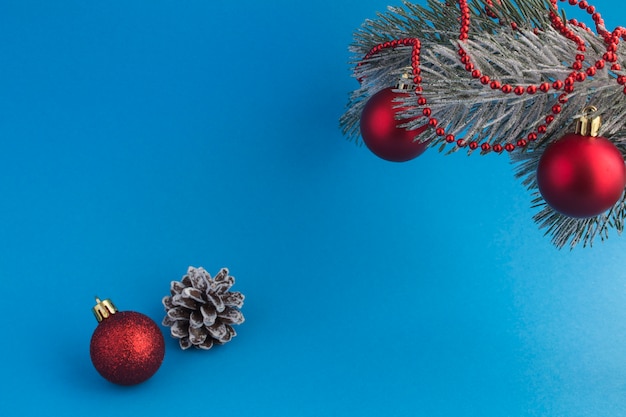 Composição de Natal com ramo de abeto e bolas vermelhas no azul