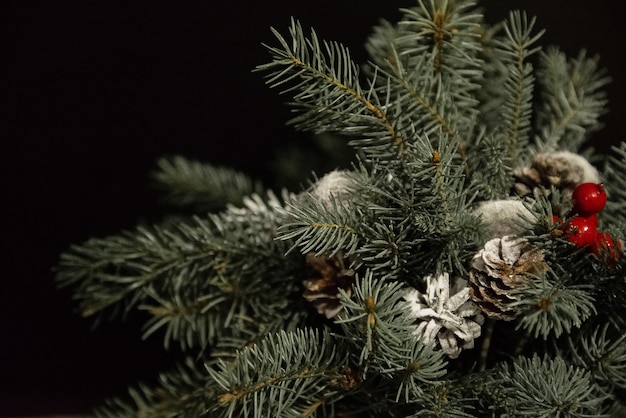 Composição de Natal de ramos de abeto e cones no preto