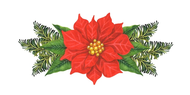 Composição de Natal em aquarela com ramos de abeto verde, flor de poinsétia vermelha e velas