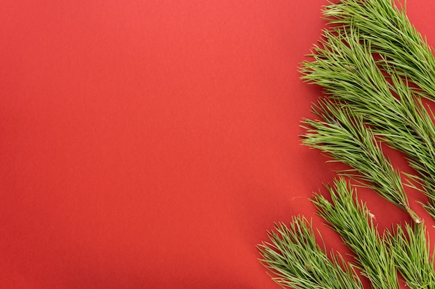 Composição de Natal. Galhos de árvore do abeto sobre fundo vermelho. Camada plana, vista superior, espaço de cópia