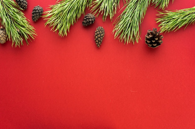 Composição de Natal. Galhos de árvore do abeto sobre fundo vermelho. Camada plana, vista superior, espaço de cópia