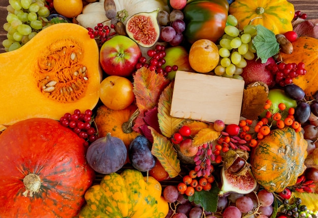 Composição de outono, ação de graças ou conceito de halloween, abóboras alimentares, colheita, espaço plano, cópia