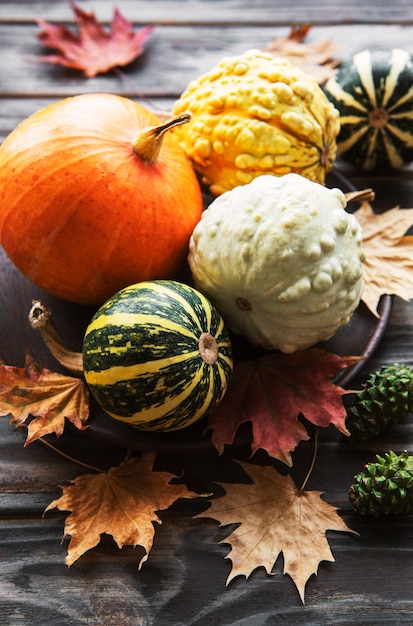 Composição de outono com abóboras multicoloridas em fundo rústico