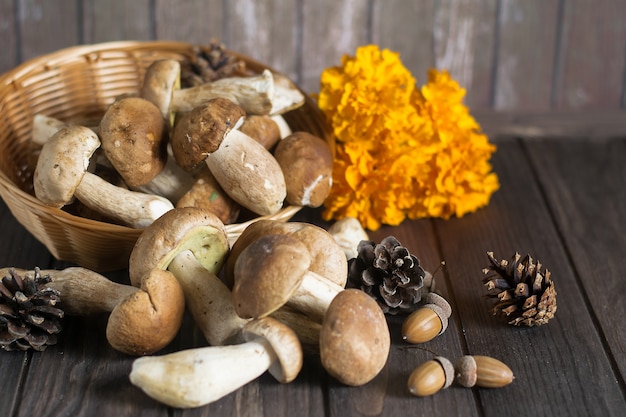 Composição de outono com cogumelos boletus, pinhas e flores amarelas