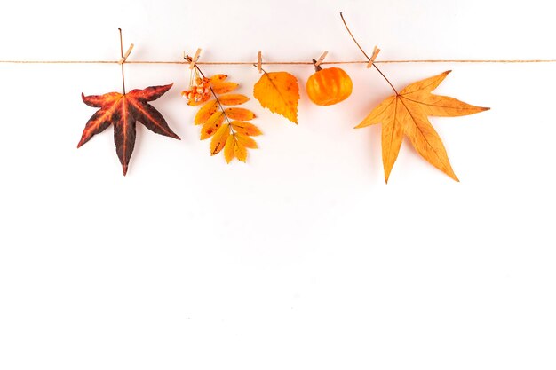 Foto composição de outono folhas de outono de abóbora em fundo branco copie o espaço