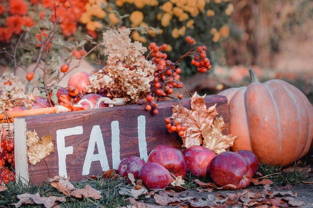 Composição de outono Halloween e decoração de Ação de Graças Abóboras