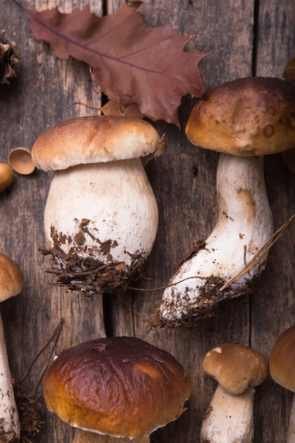 Composição de outono outono. Cogumelos comestíveis crus da variedade Penny Bun Boletus leccinum na tabela rústica.