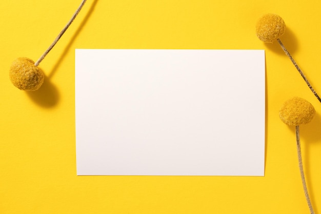 Composição de papelaria de aniversário Maquete de convite de cartão em branco e envelope de artesanato Flores Craspedia isoladas em fundo amarelo