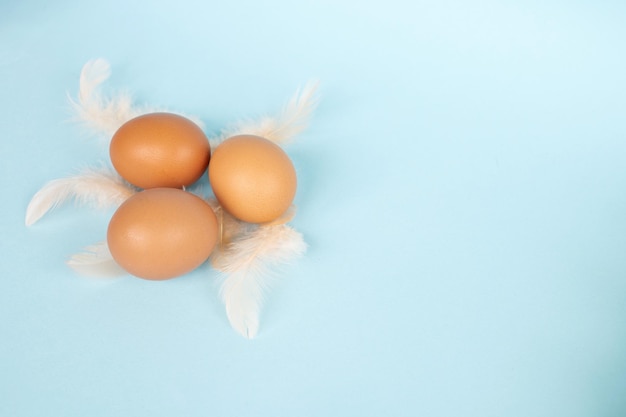 Composição de Páscoa Ovos vermelhos estão sobre um fundo azul Penas de pássaros cor-de-rosa estão espalhadas sobre a mesa