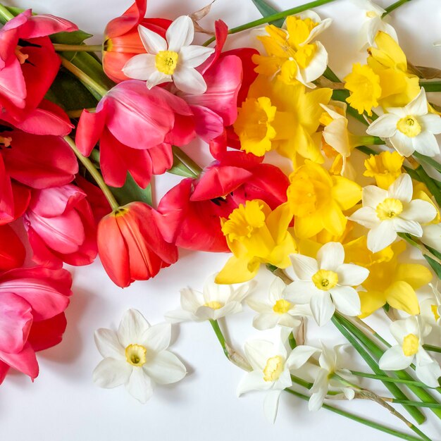 Composição de primavera de flores, tulipas e narcisos