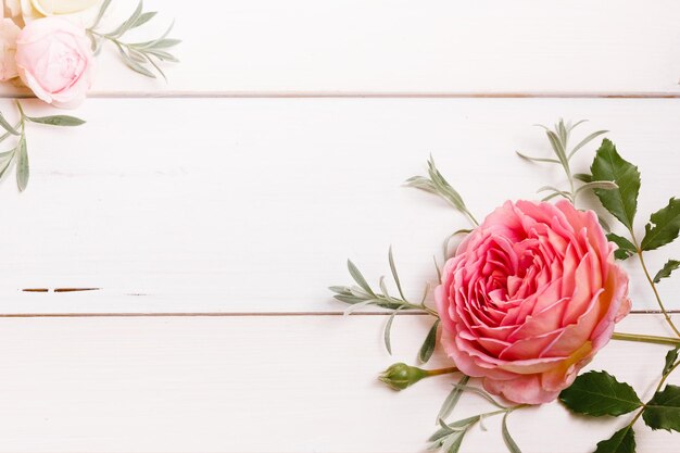 Composição de rosa festiva flor rosa em fundo branco de madeira Vista superior plana lay Copiar espaço Aniversário Dia dos namorados da mãe Conceito do dia do casamento das mulheres