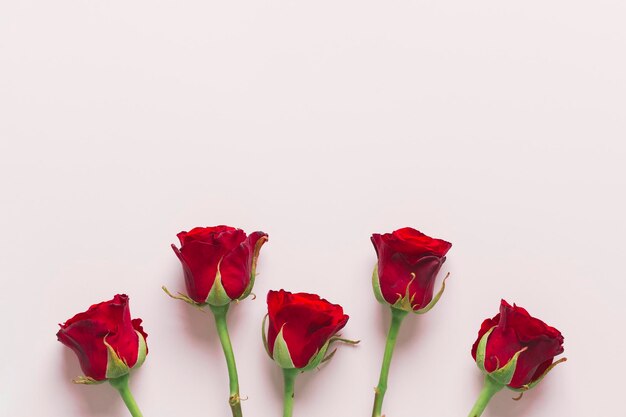 composição de rosas vermelhas adoráveis