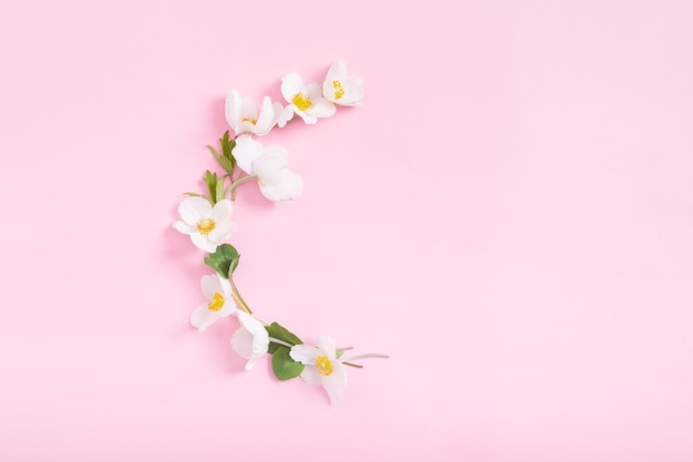 Composição de verão ou primavera em flores de anêmona de fundo rosa com espaço de cópia vista superior verão