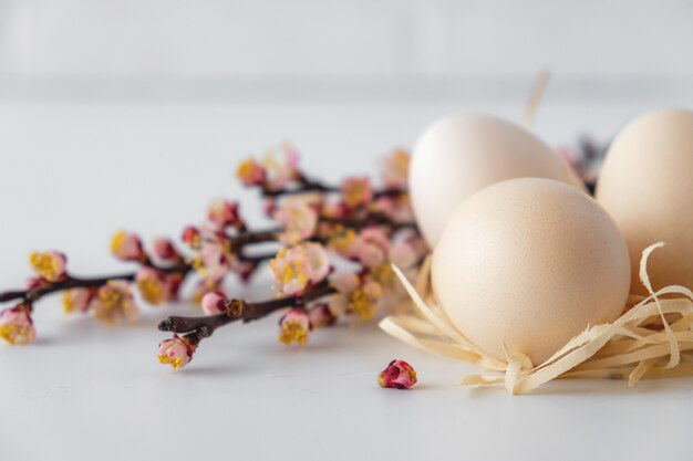 Composição decorativa de primavera de Páscoa com ovos de Páscoa, ramo de cerejeira rosa.