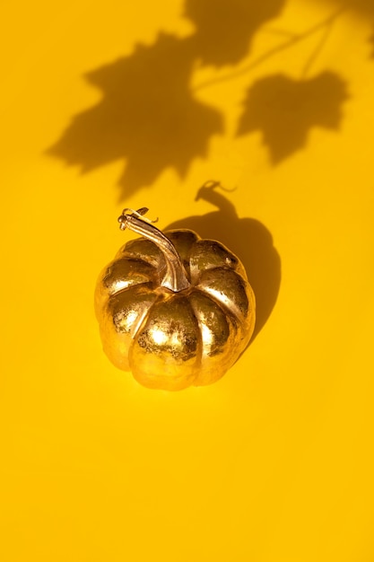 Composição do dia de ação de graças outono outono com abóbora dourada decorativa e sombra de folha de bordo