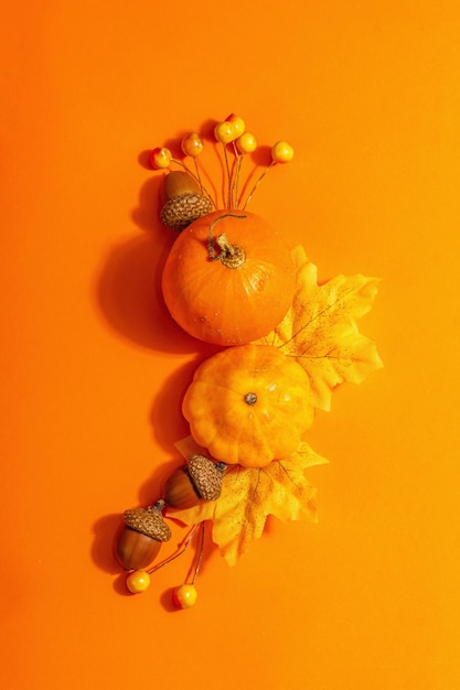 Composição do quadro de outono, isolada em um fundo laranja. Uma coroa de abóboras decorativas maduras, folhas de outono, frutos e bolotas