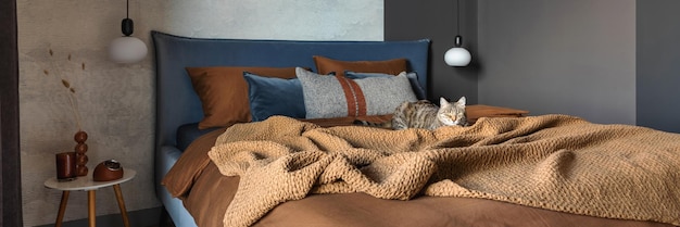Composição elegante da lâmpada criativa de cama interior de quarto moderno