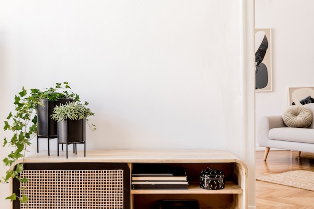 Composição elegante do interior da sala de estar com parede branca, sofá e folhas verdes em um vaso de vidro na cômoda escandinava de madeira. Conceito minimalista. Copie o espaço. Modelo.