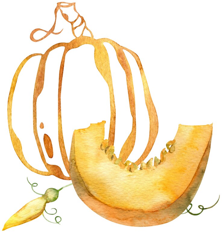 Foto composição em aquarela de fatia de abóbora laranja e abóbora de silhueta. abóboras do dia de ação de graças.