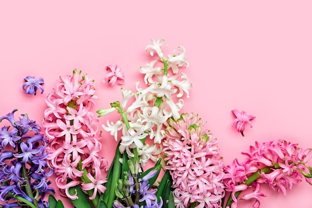 Composição festiva de flores Primavera rosa ou fundo floral de páscoa Lindas flores de jacintos Olá conceito de primavera